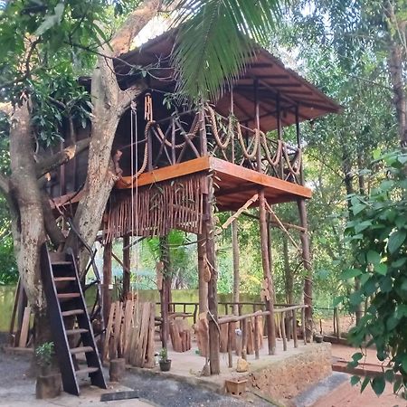 Green Park Safari House & Eco Tree House Udawalawe Dış mekan fotoğraf